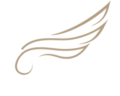 555place logo transparent 300px